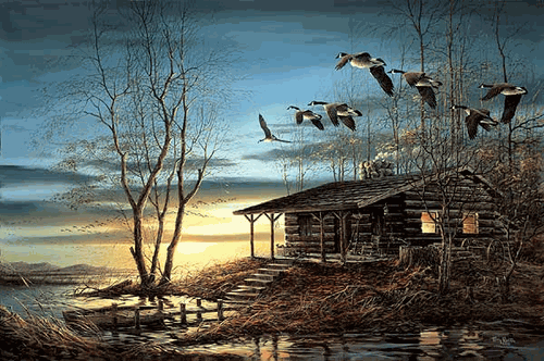 (image for) Evening Retreat Canvas